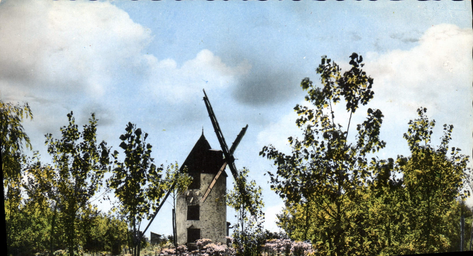 CPA En Vendee au pays de Monts le Vieux Moulin