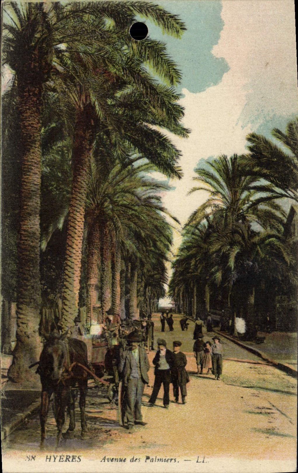 CPA Hyeres Avenue des Palmiers 