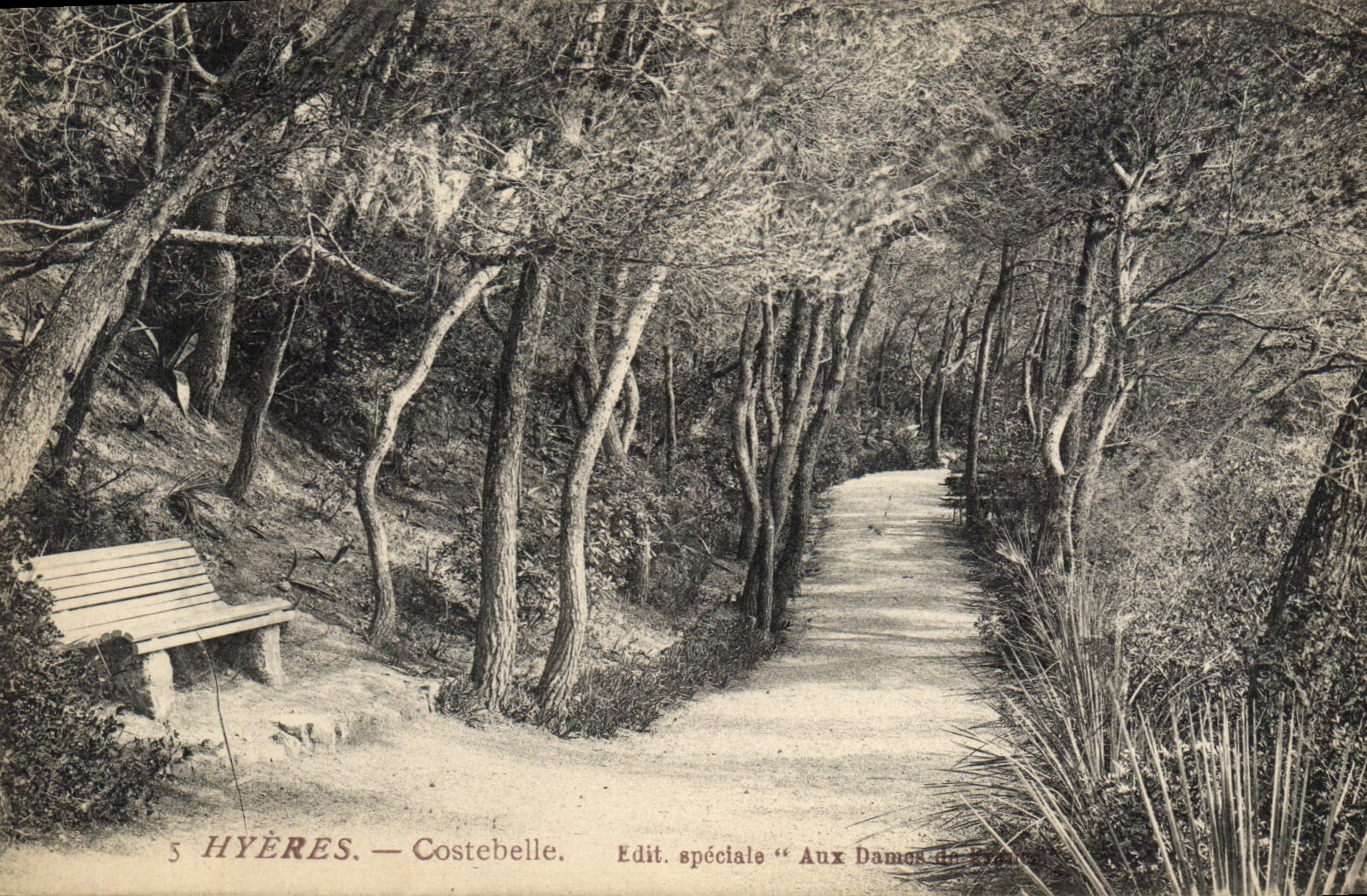 CPA Hyeres Costebelle 