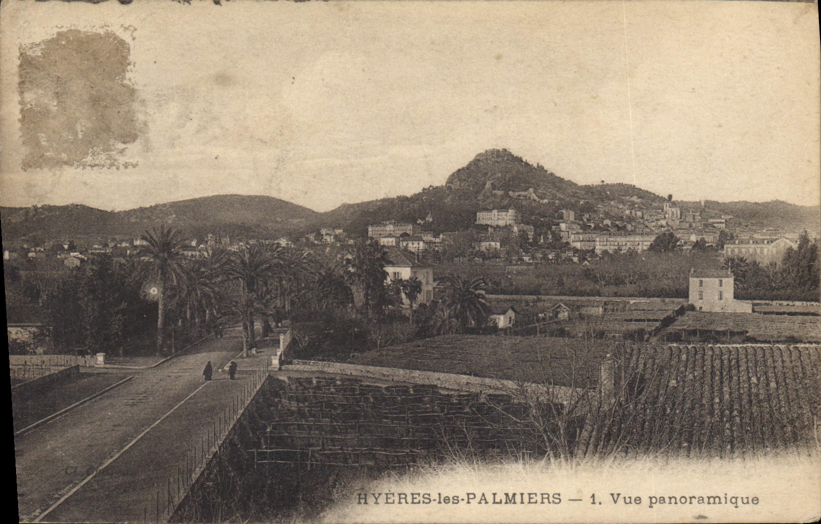 CPA Hyeres les Palmiers vue panoramique 