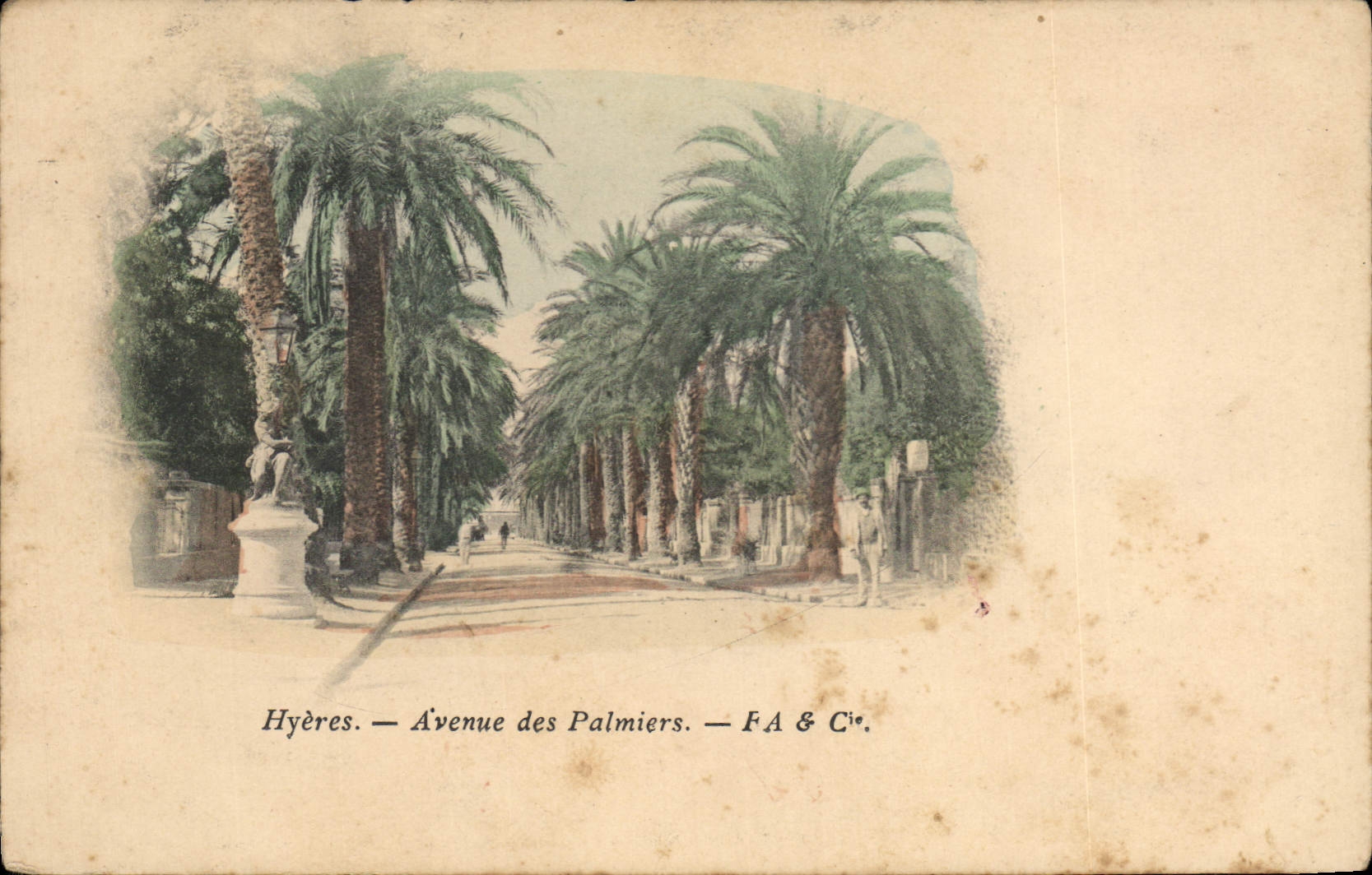 CPA Hyeres Avenue de Palmiers 