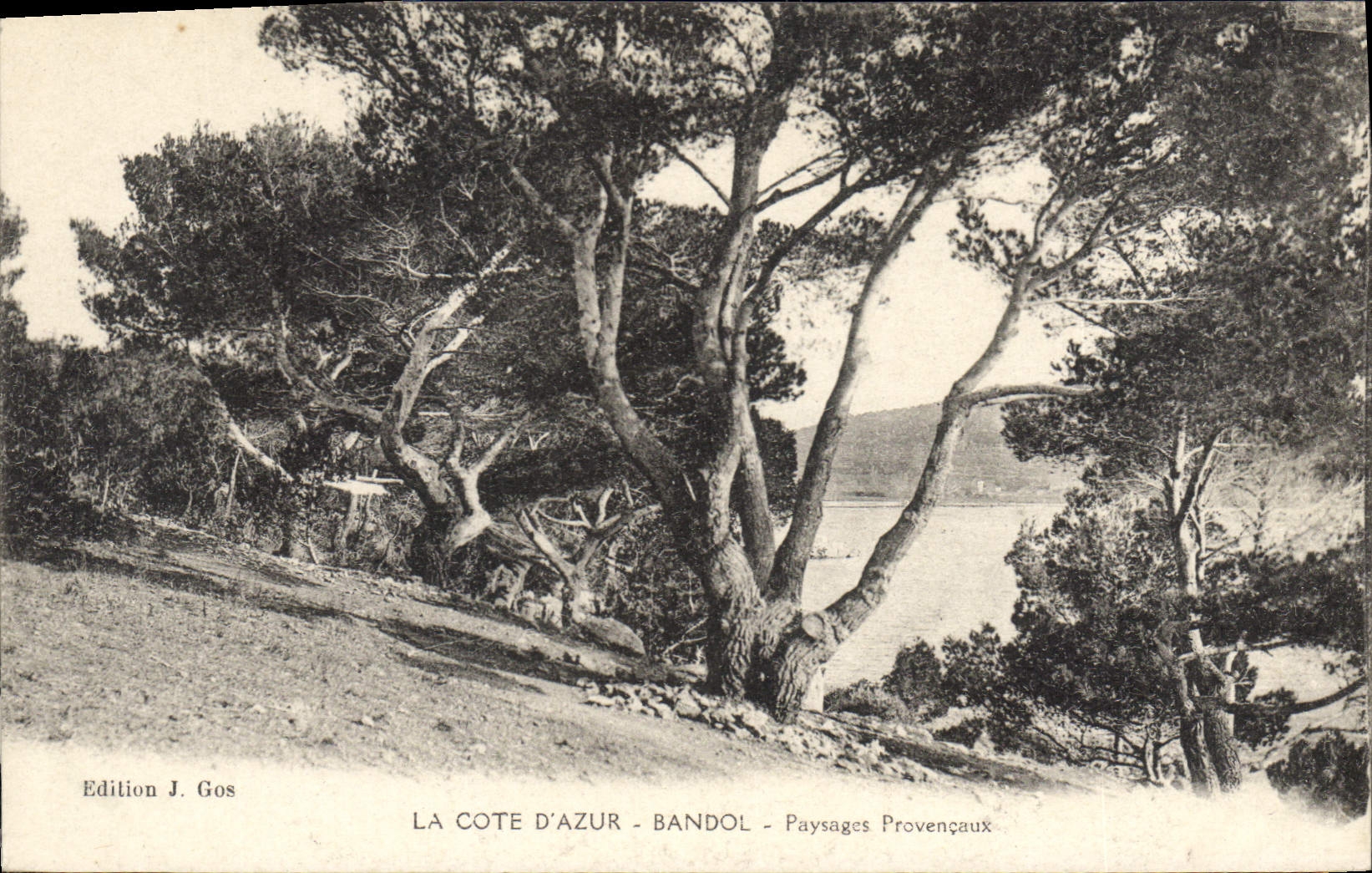 CPA La Cote d'Azur Bandol Paysages Provencaux