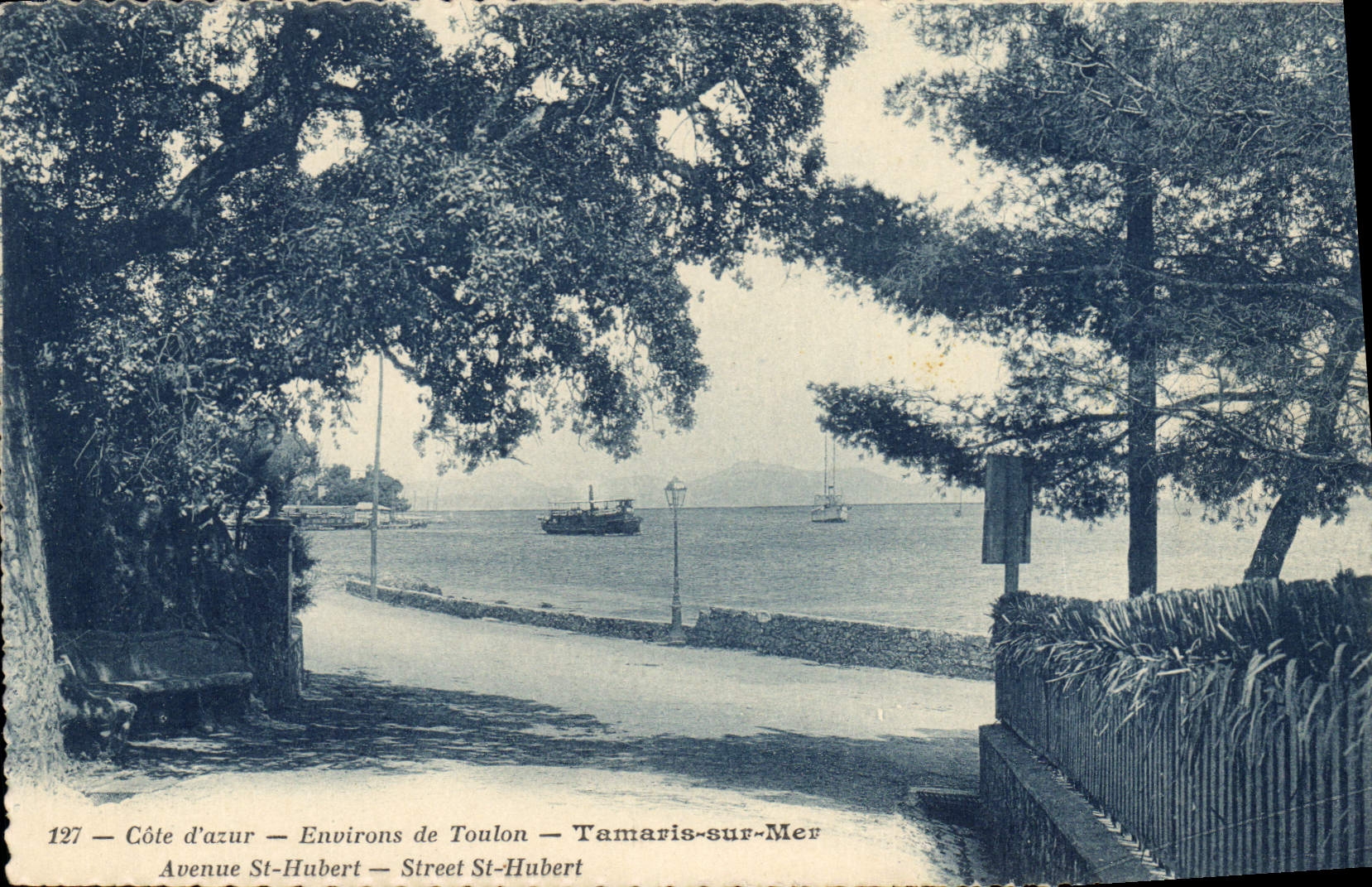 CPA Cote d'Azur Environs de Toulon Tamaris sur Mer Avenue St Hubert