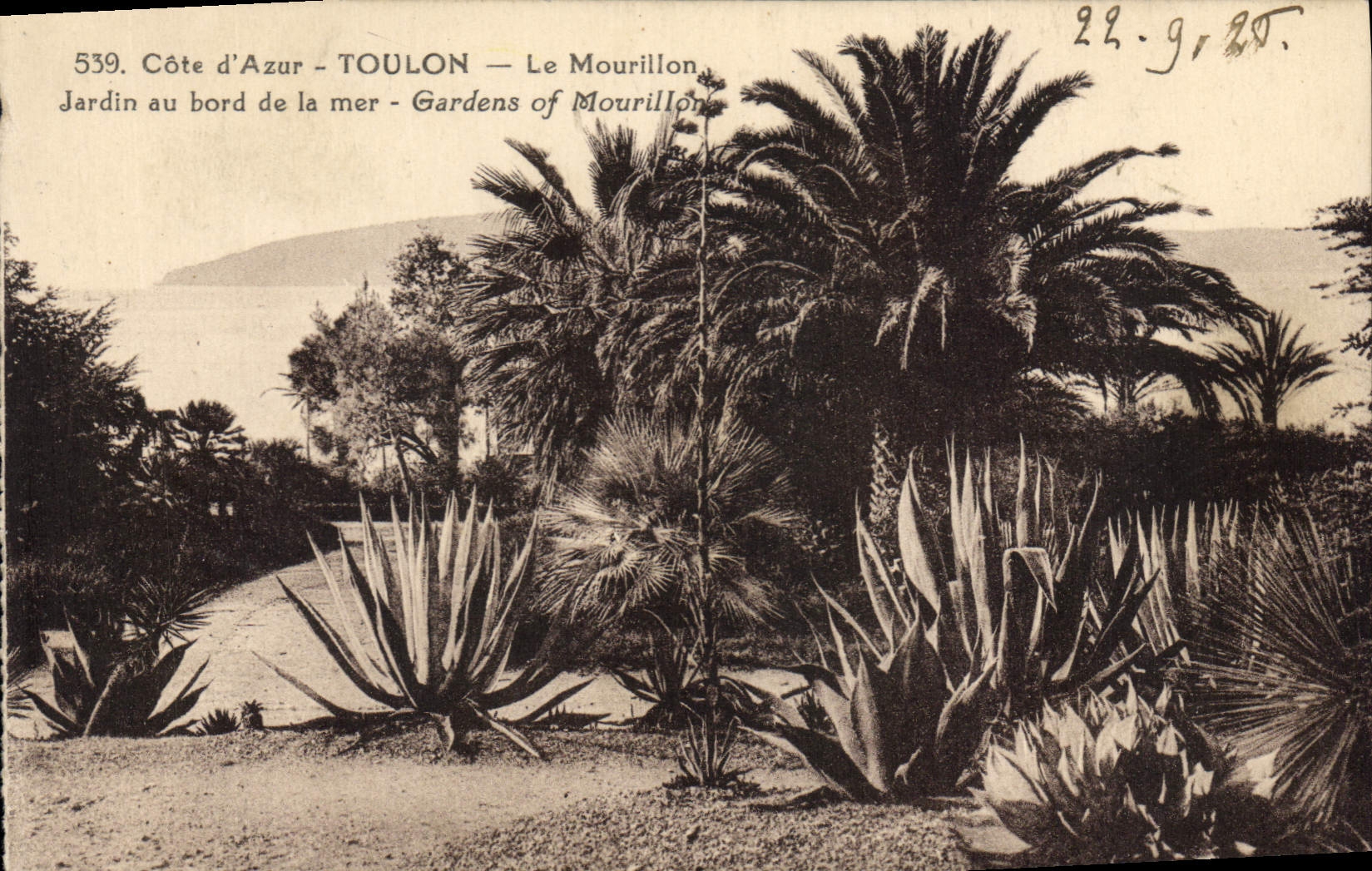 CPA Cote d'Azur Toulon Le Mourillon Jardin au bord de la mer