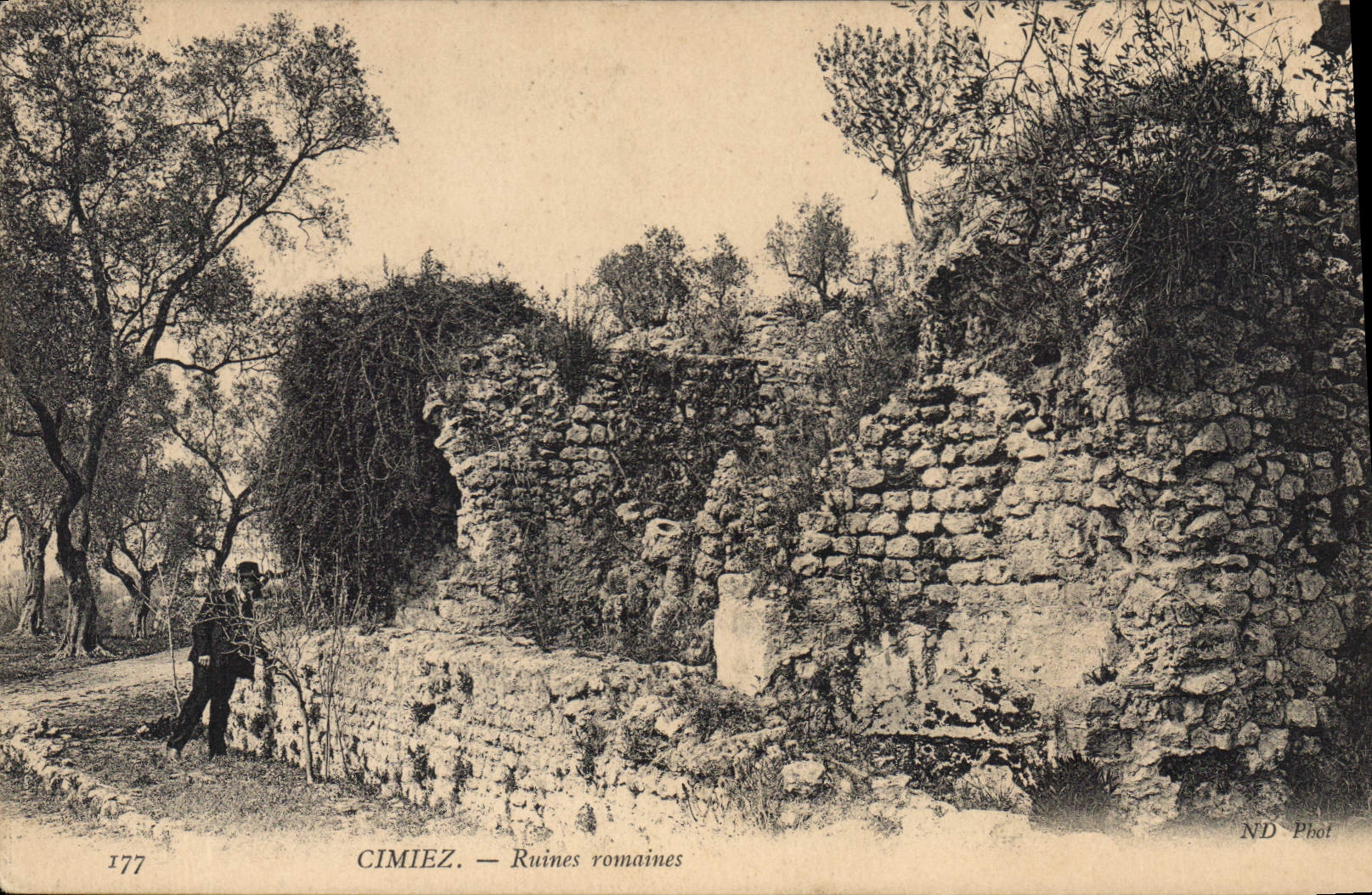 CPA Cimiez Ruines romaines 