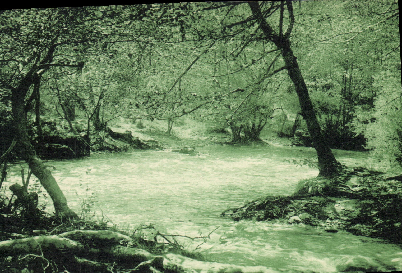 CPA La Colle sur Loup A M Bords du Loup 