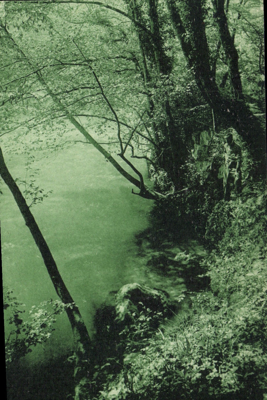 CPA La Colle sur Loup A M Bords du Loup