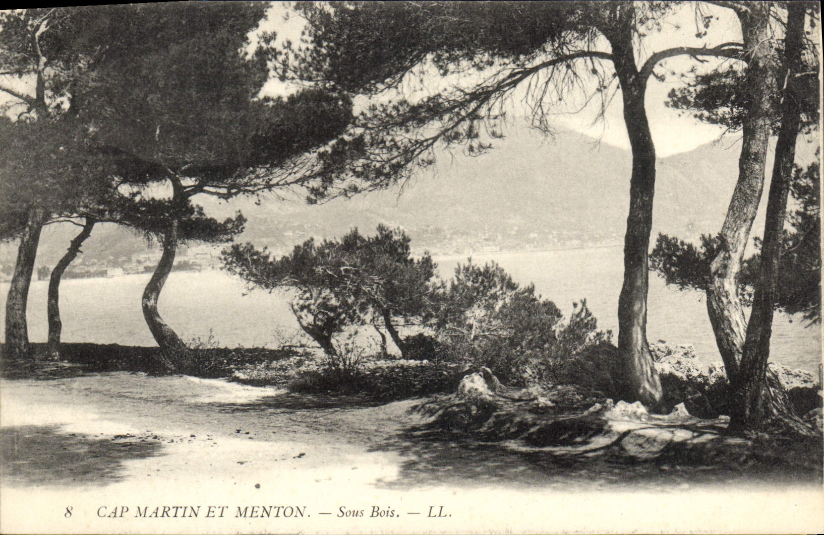 CPA Cap Martin et Meton Sous Bois