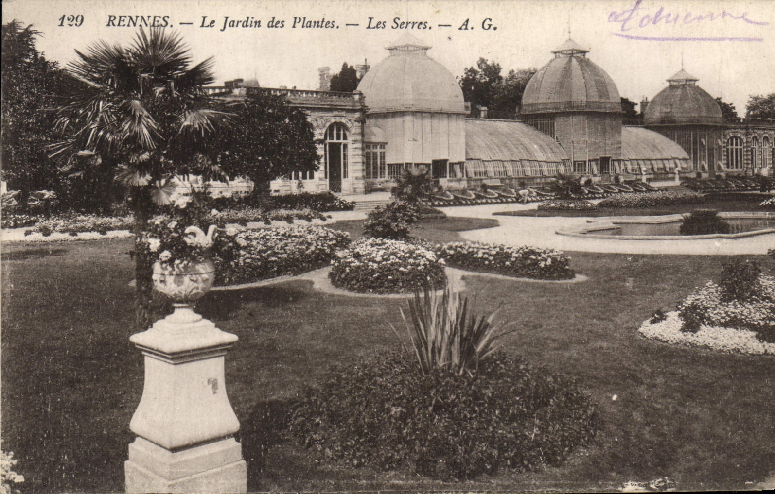 CPA Rennes Le Jardin  des Plantes Les Serres 