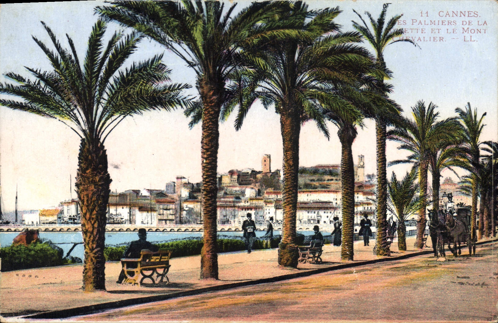 CPA Cannes Les Palmiers 