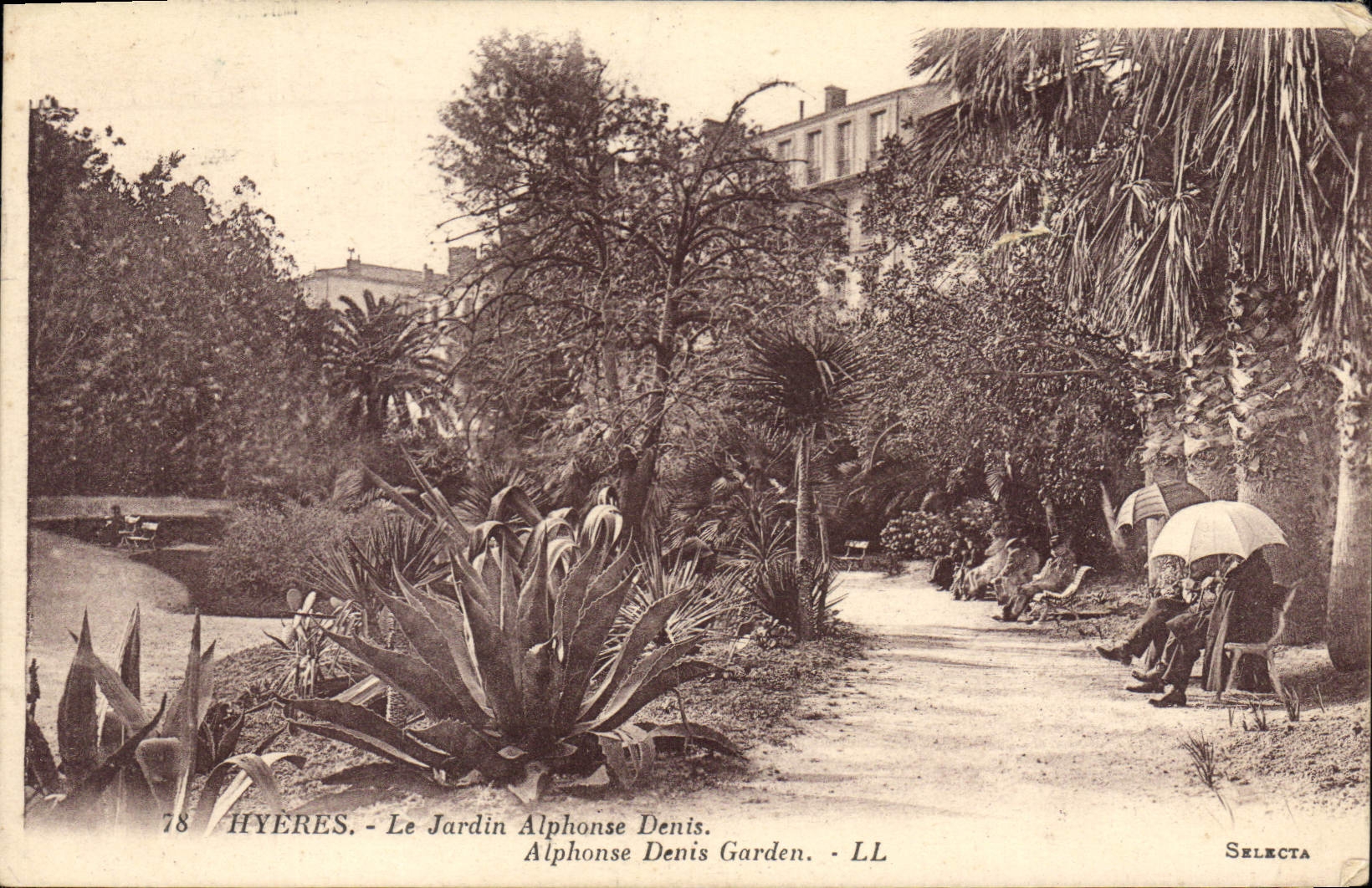 CPA Hyeres Le Jardin Alphonse Denis 