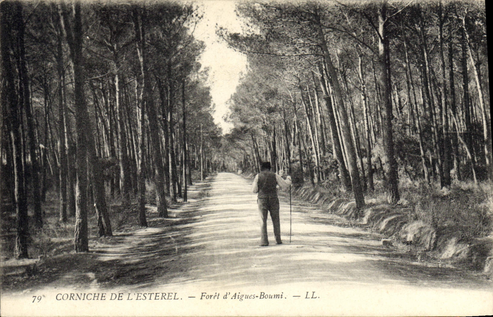 CPA Corniche de L'Esterel Foret d'Aigues Boumi