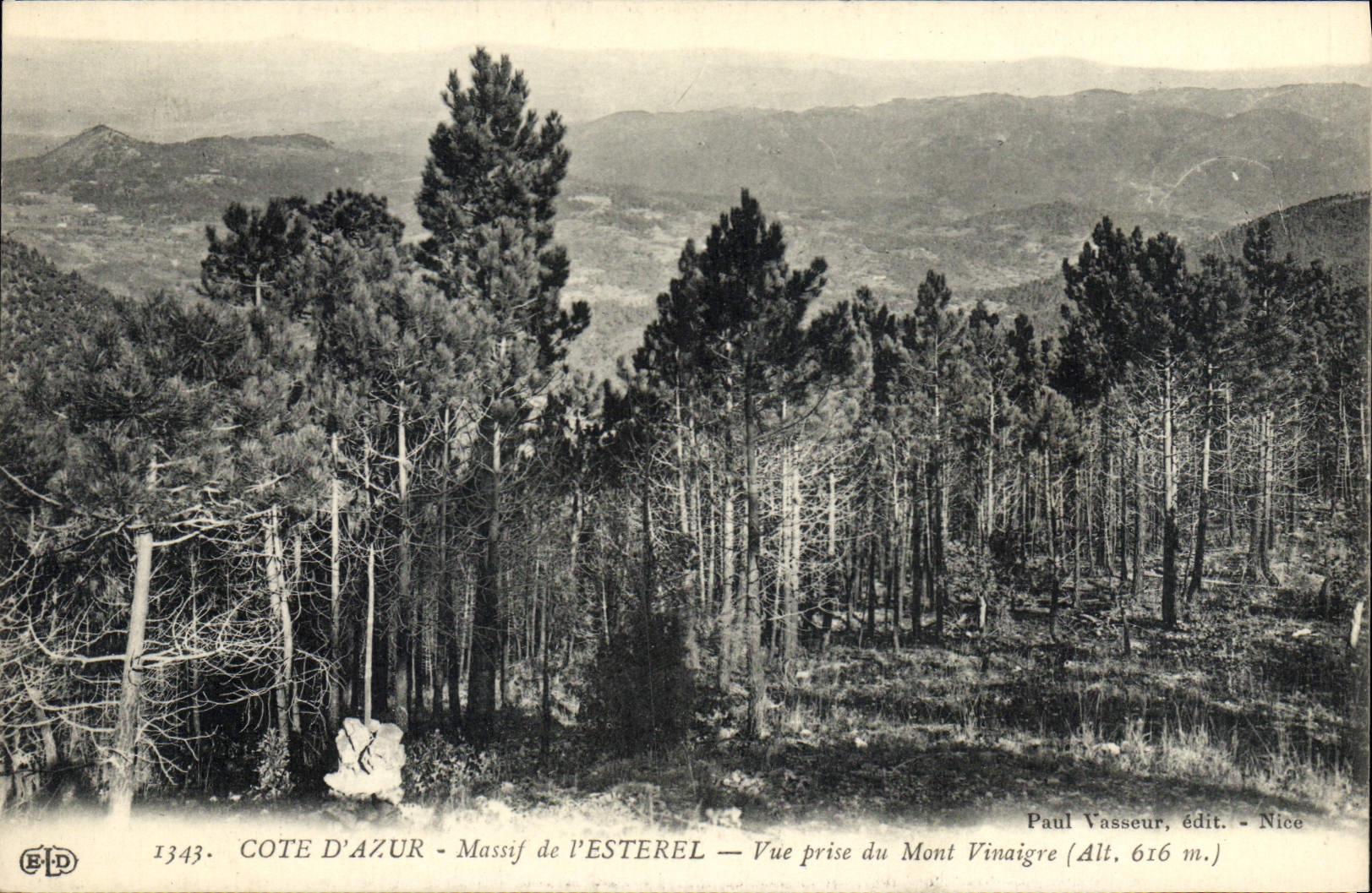 CPA Cote d'Azur Massif de l'Esterel Vue prise du Mont Vinaigre