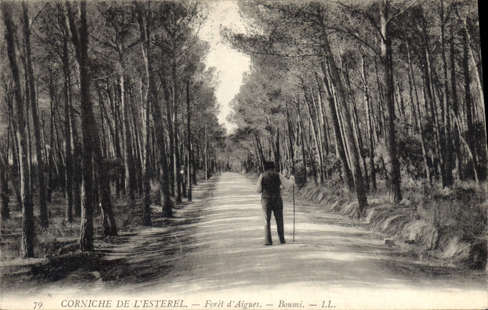 CPA Corniche de L'Esterel Foret d'Aigues Boumi