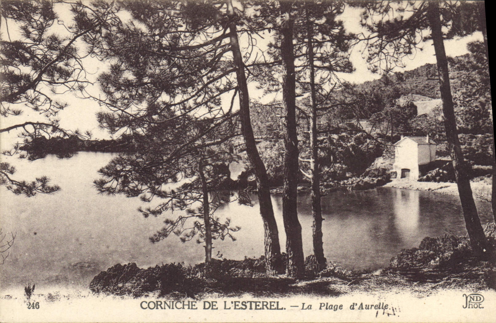 CPA Corniche de l'Esterel La Plage d'Aurelle