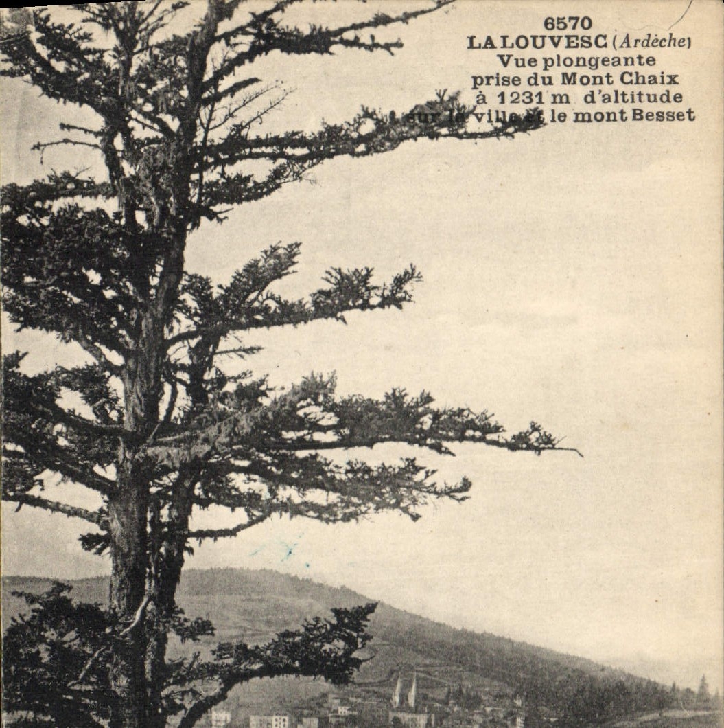 CPA La Louvesc Ardeche Vue plongeante prise du Mont Chaix
