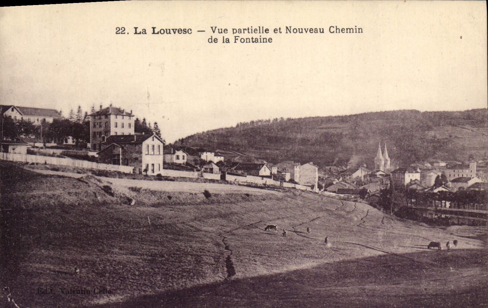 CPA La Louvesc vue Partielle et Nouveau Chemin de la Fontaine