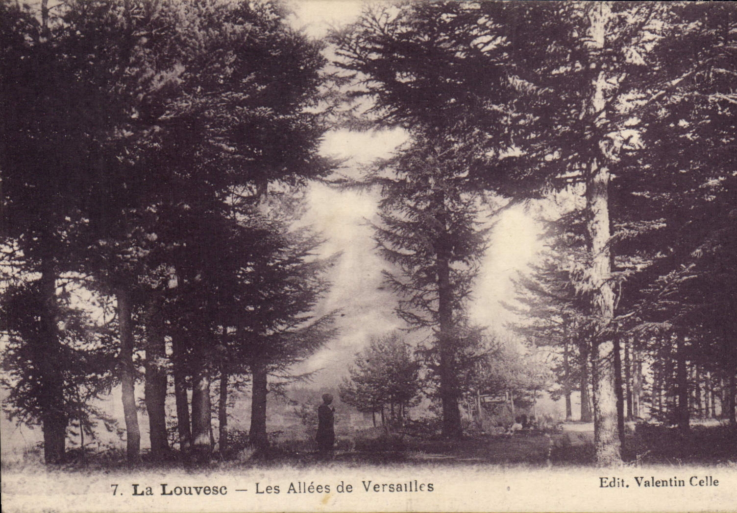 CPA La Louvesc Les Allees de Versailles 