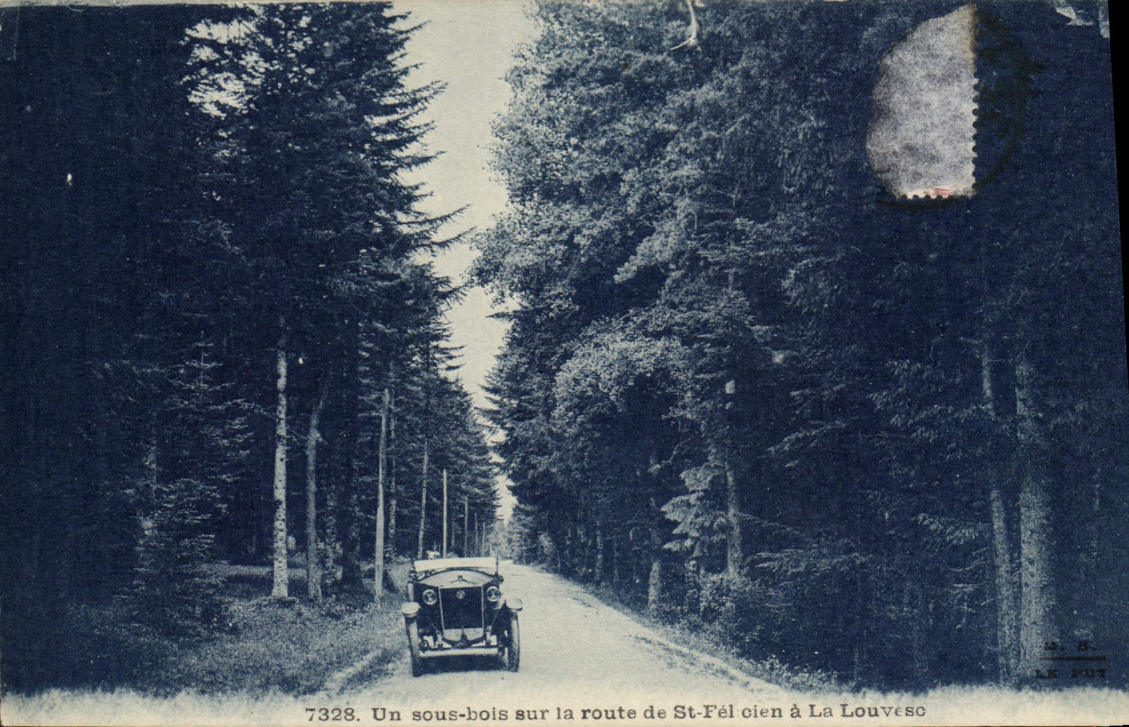 CPA Un sous bois sur la route de St Fel olen a La Louvesc Automobiel
