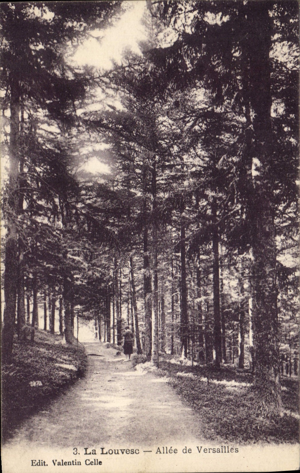 CPA La Louvesc Allee de Versailles 
