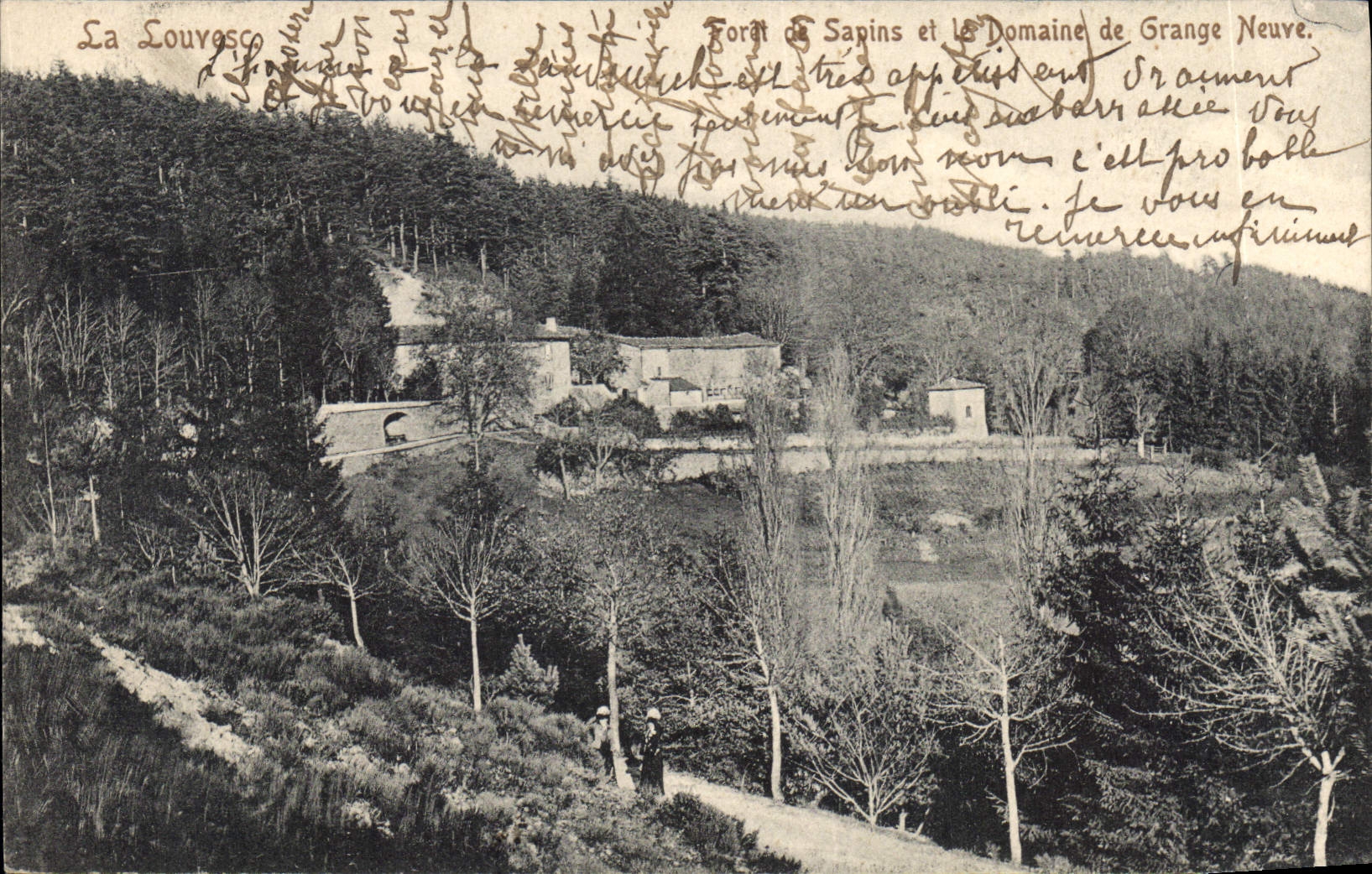 CPA La Louvesc Foret de Sarins et le Domaine de Grange Neuve