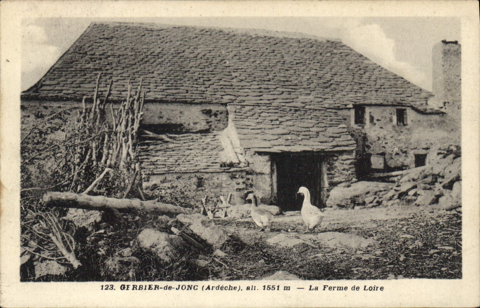 CPA Gerbier des Joncs (Ardeche) alt 1551 m la Ferme de Loire