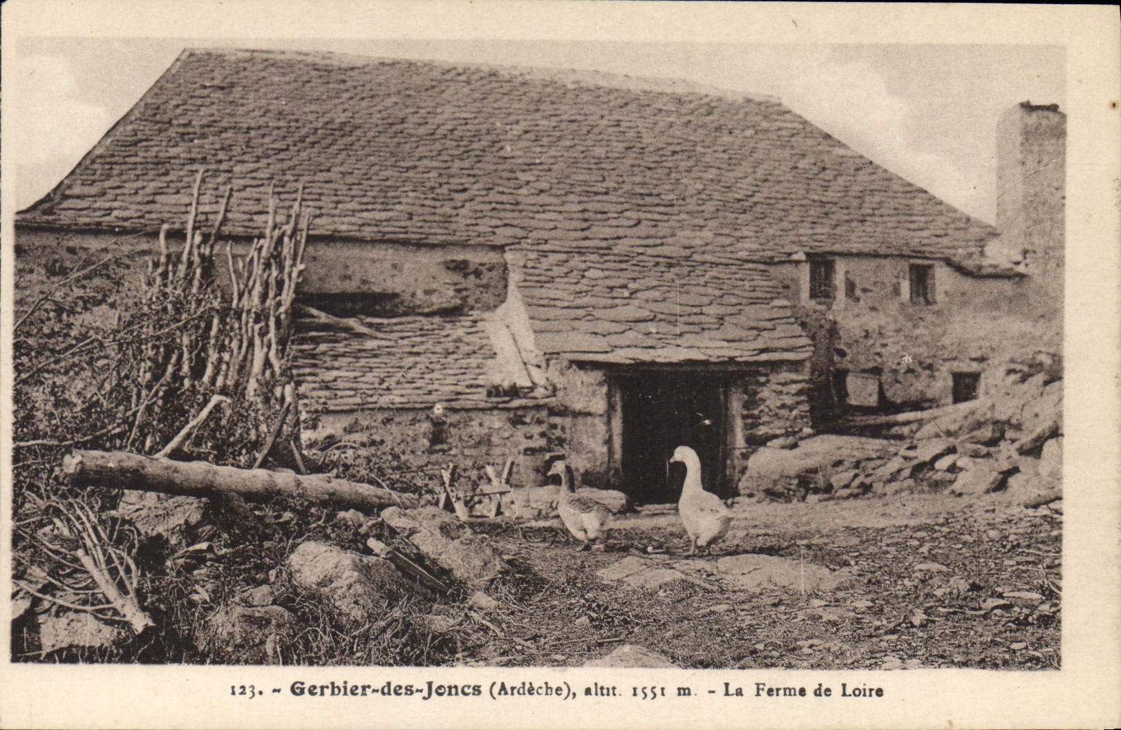 CPA Gerbier des Joncs (Ardeche) alt 1551 m La Ferme de Loire