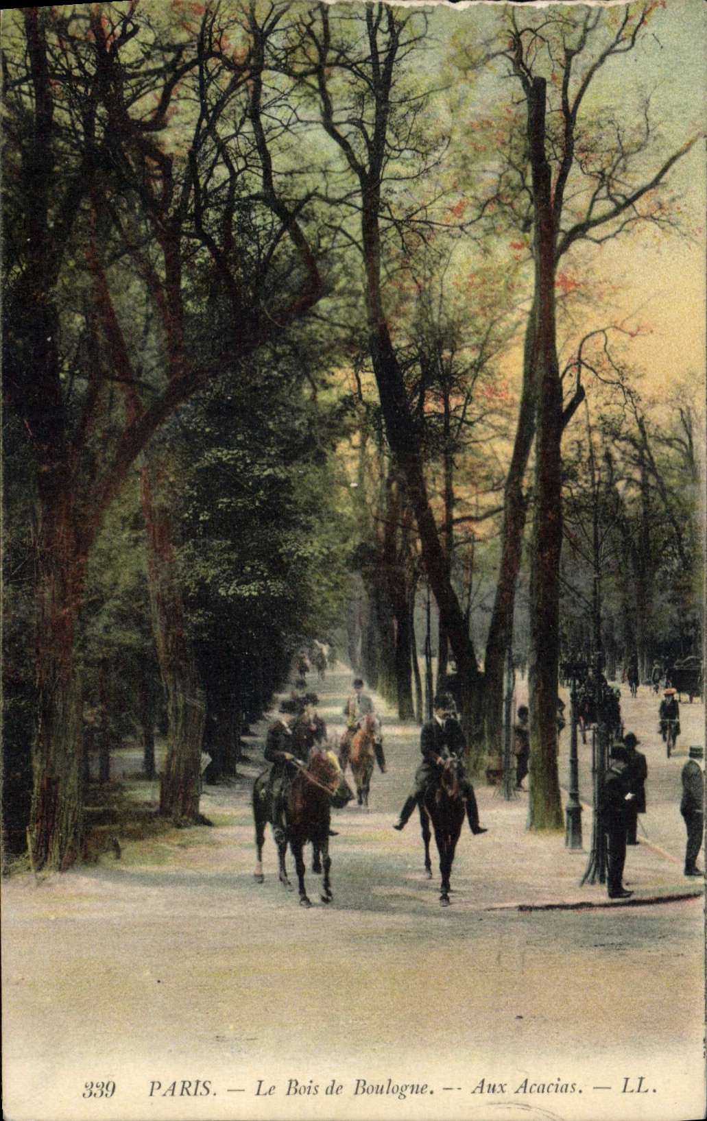 CPA Paris Le Bois de Boulogne Aux Acacias