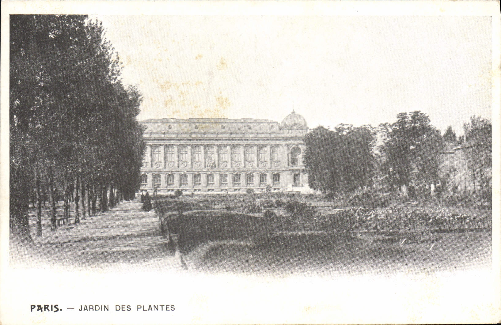 CPA Paris Jardin des Plantes