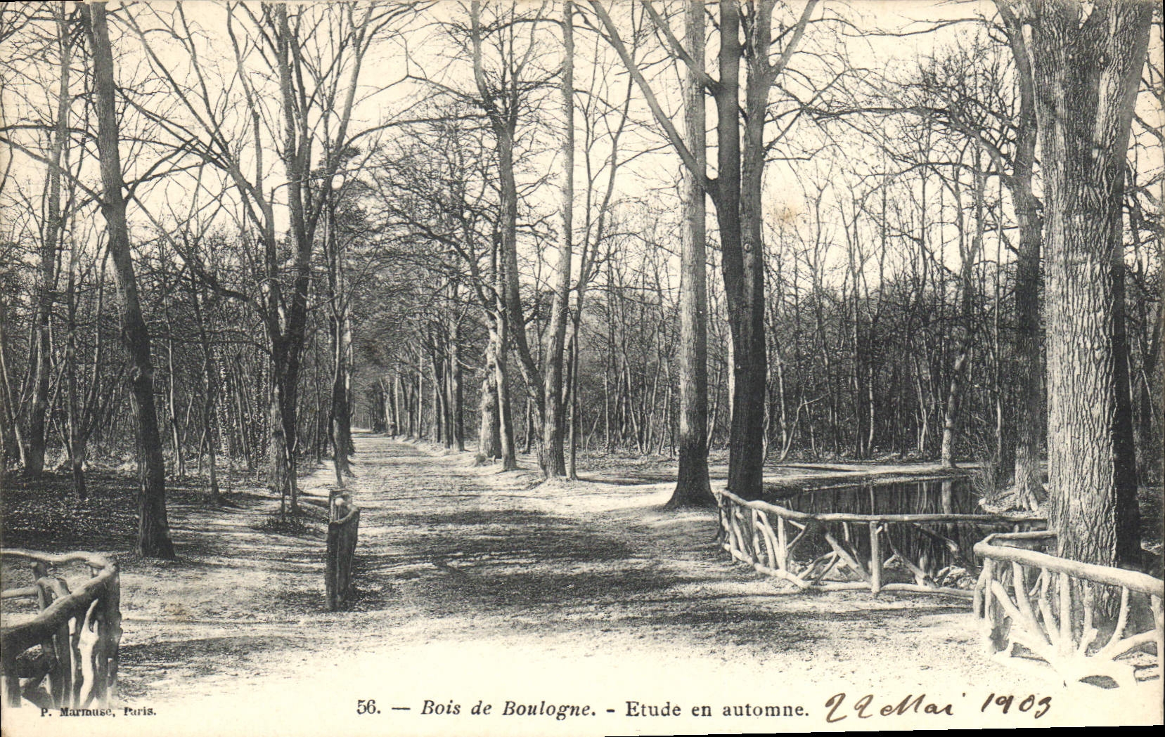 CPA Paris Bois de Boulogne Etude en autonne