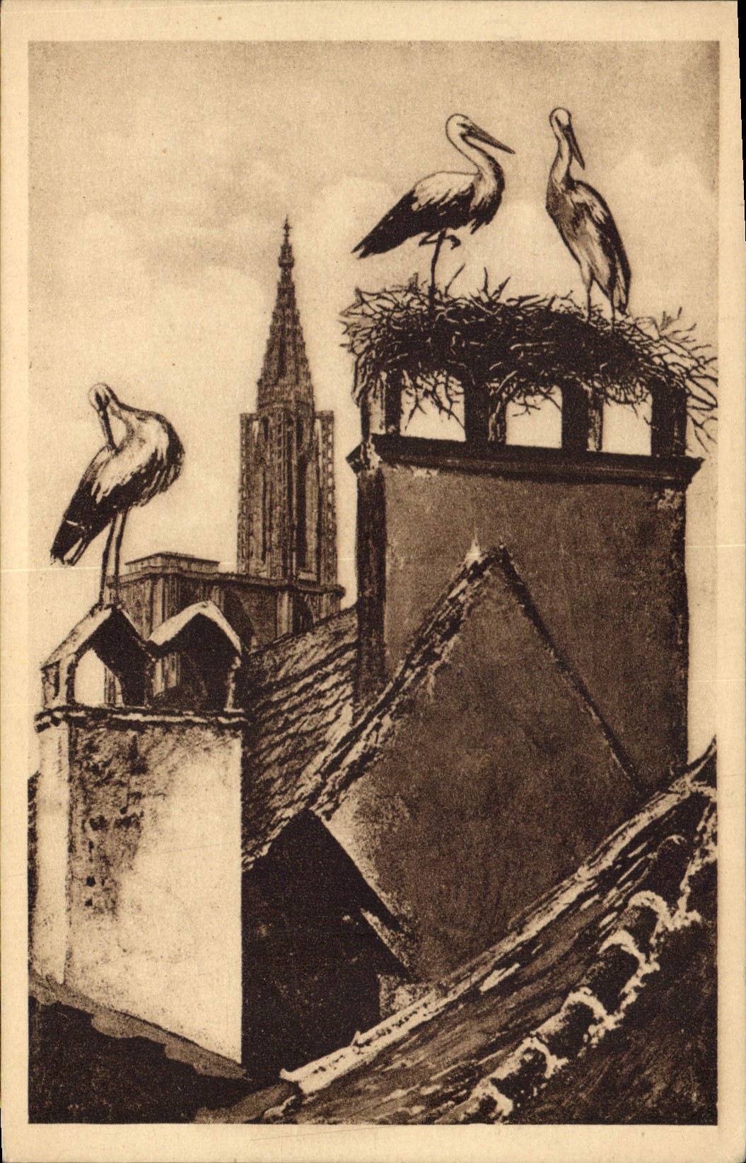 CPA Strasbourg Nid de Cigognes