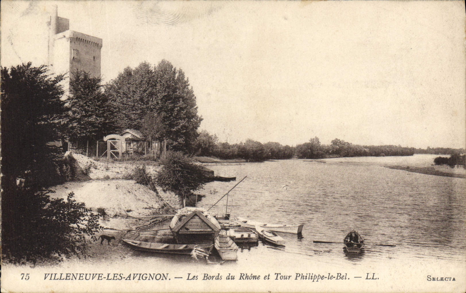 CPA Villeneuve les Avignon Les Bords du Rhone et Tour Philippe le Bel