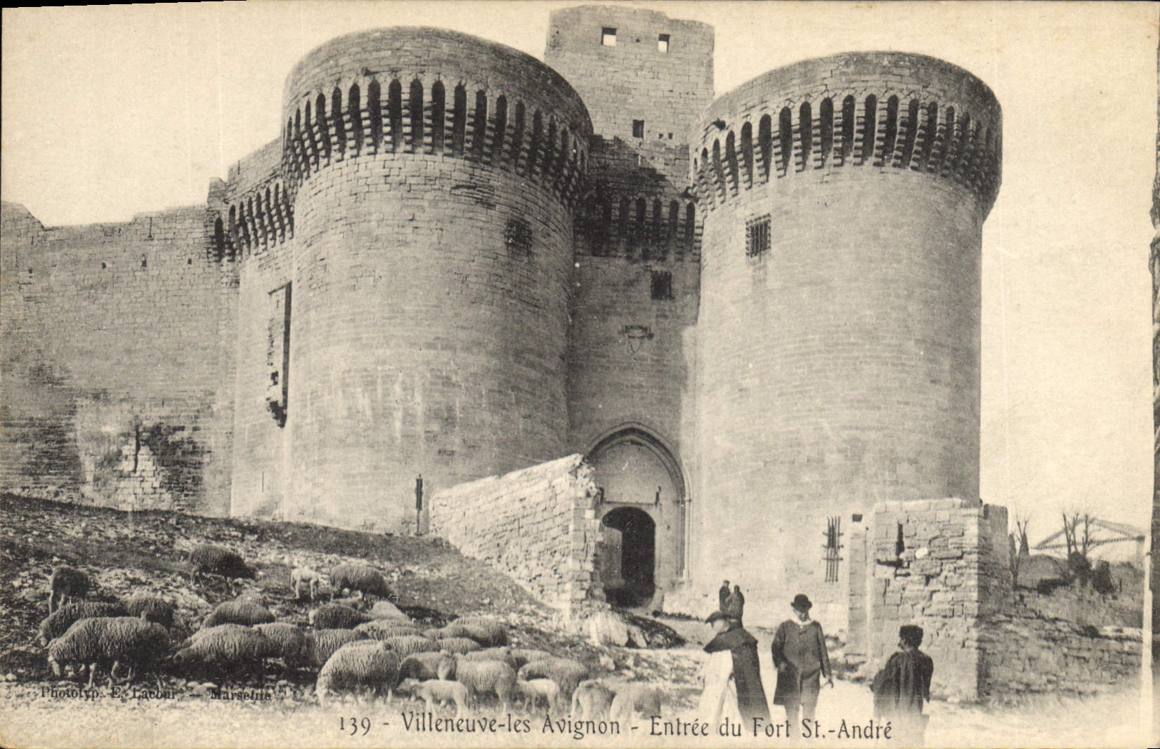 CPA Villeneuve les Avignon Entree du Fort St Andre Berger Moutons
