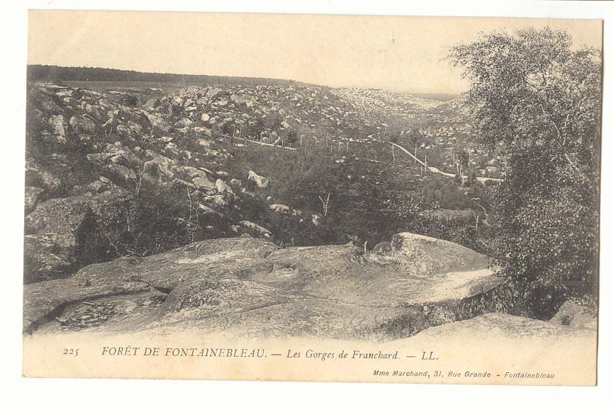 Foret de Fontainebleau CPA Les gorges de Franchard