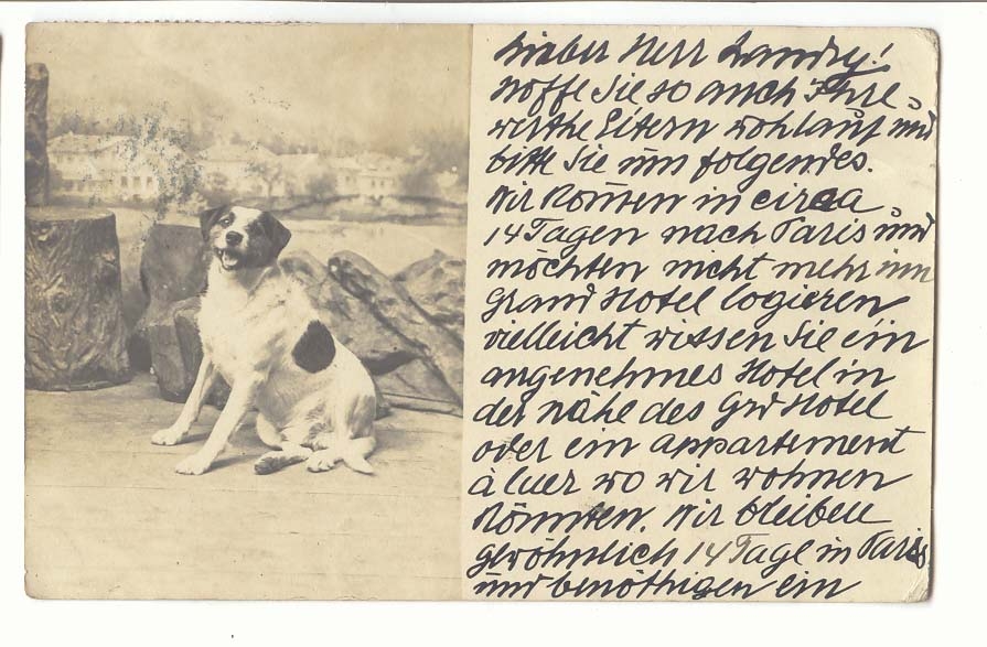 Autriche Austria CPA Chien 
