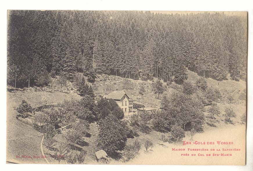 Les cols des Vosges CPA Maison foresiere de la sapiniere pres du col de Ste Marie