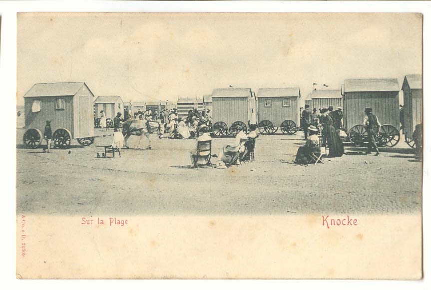 Belgique Knocke CPA Sur la plage (ane donkey)