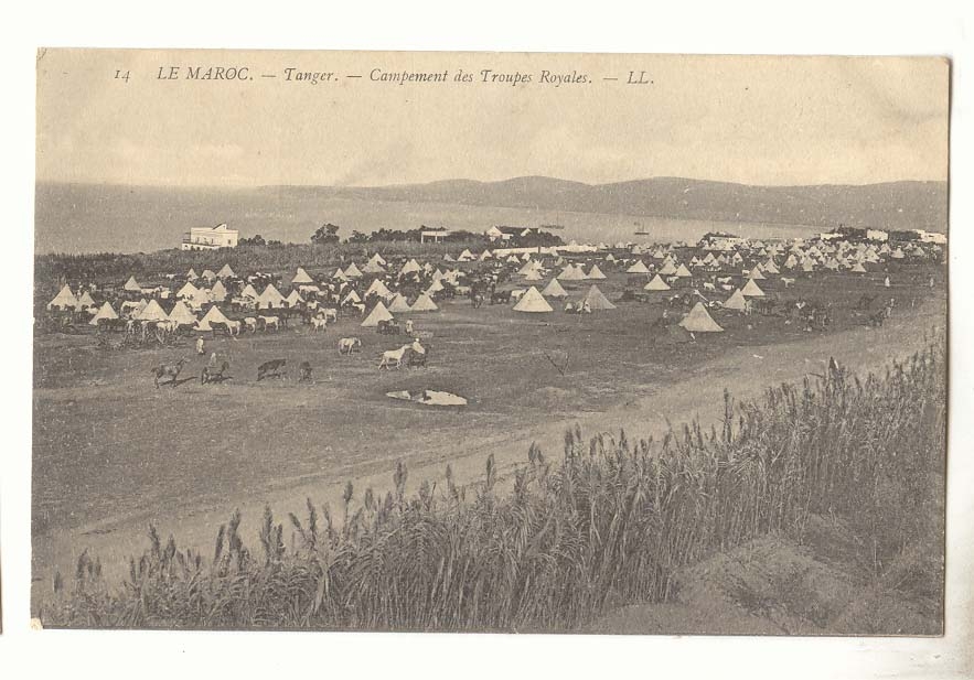 Maroc CPA Tanger Campement des troupes royales