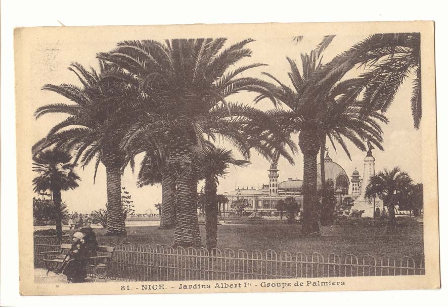 Nice CPA Jardins Albert 1er Groupe de palmiers