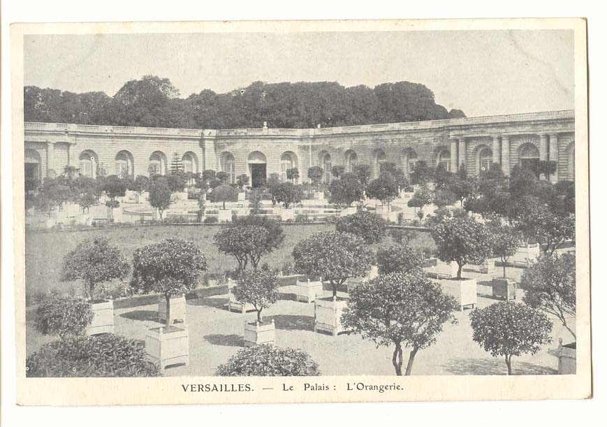 Versailles CPA le palais : l'orangerie