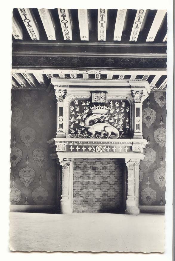 Blois CPM Le chateau La cheminee a la Salamandre embleme de Francois 1er