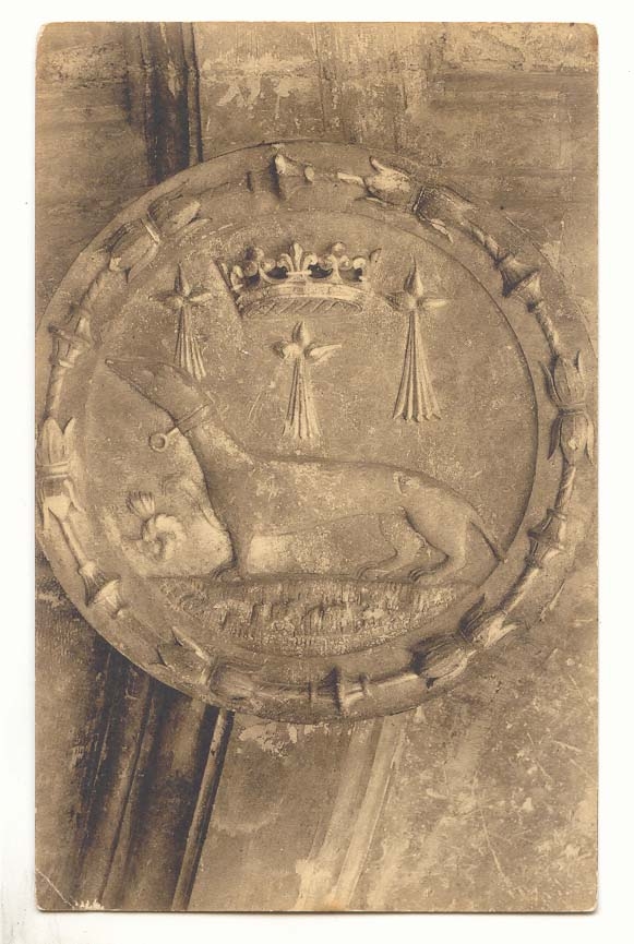 Blois CPA Le chateau Medaillon de l'escalier Embleme d'anne de Bretagne