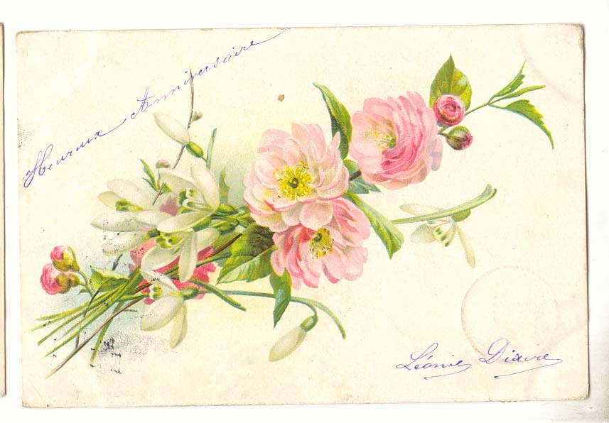 CPA Voeux Fleurs 