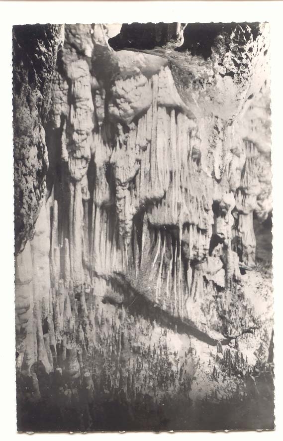 Les grottes d'aRcy sur Cure CPM Draperies du salon gothique