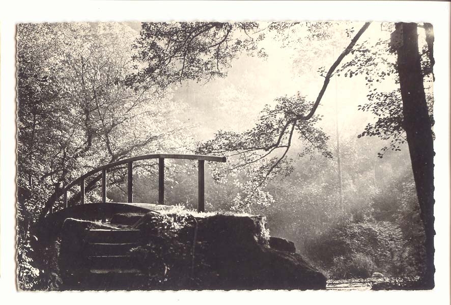 Avallon CPM Le pont des gardes sur le Cousin