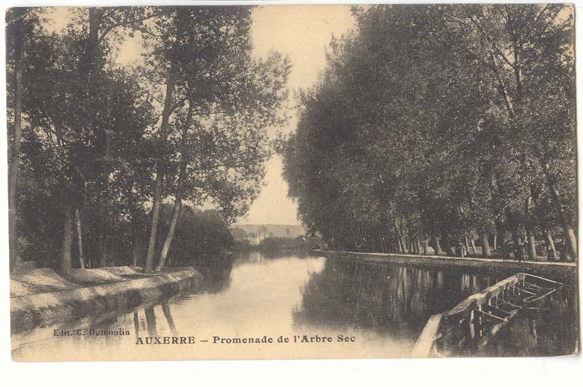 Auxerre CPA Promenade de l'arbre sec