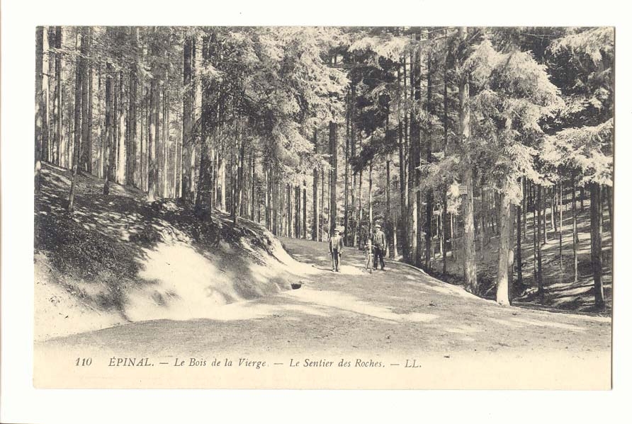 Epinal CPA Le bois de la vierge le sentier des roches