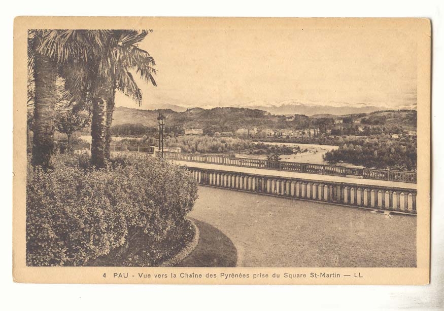 Pau CPA Vue sur la chaine des Pyrenees prise du square St Martin