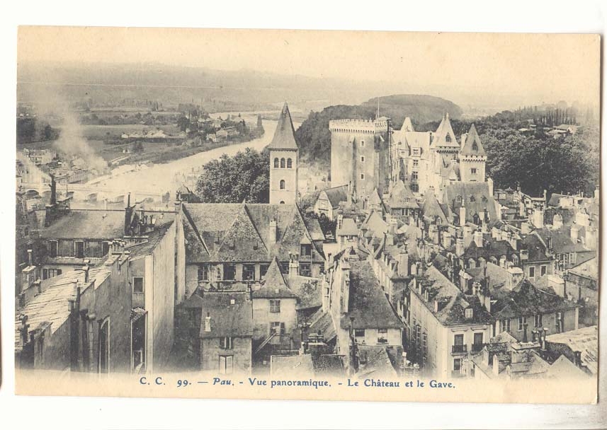 Pau CPA Vue panoramique Le chateau et le Gave