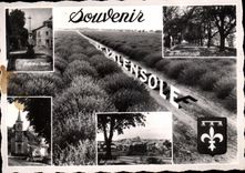 CPA La Route de la Lavande Vallensole B A Souvenir 